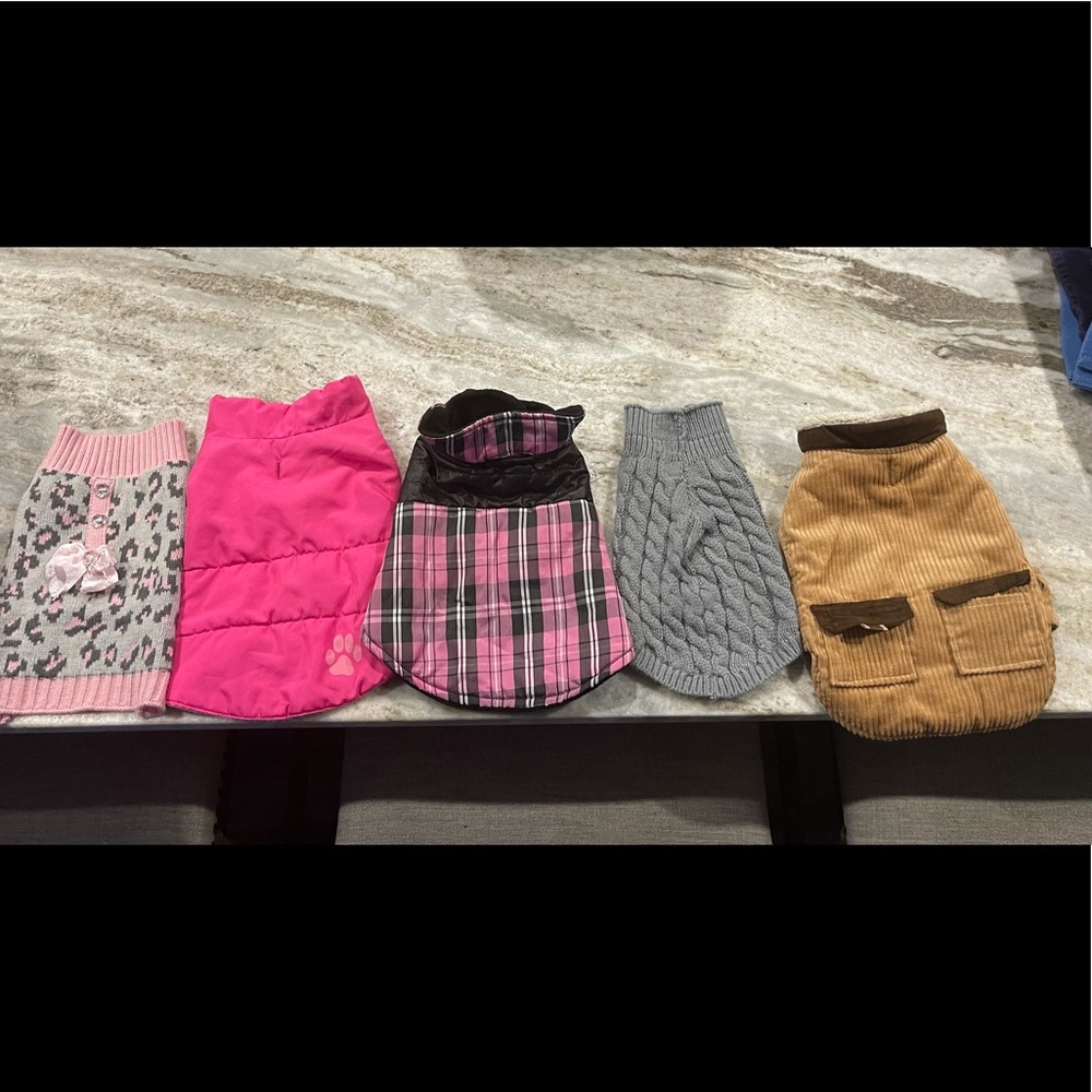 Size small dog clothes all in great condition